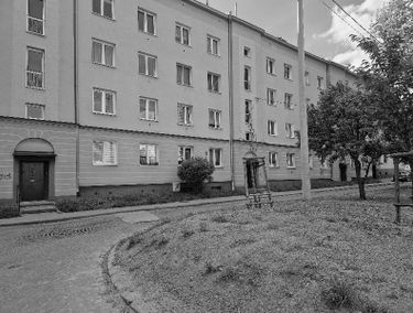 Zdjęcie 15603131