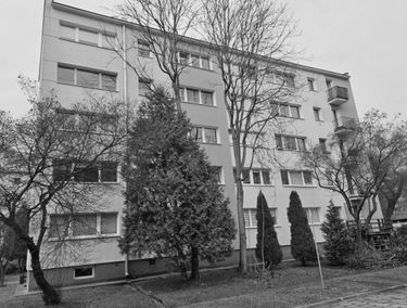Zdjęcie 15603296