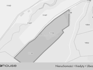 Zdjęcie 15603438
