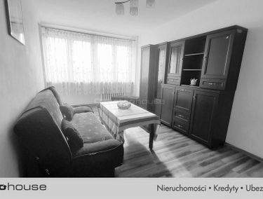 Zdjęcie 15603658
