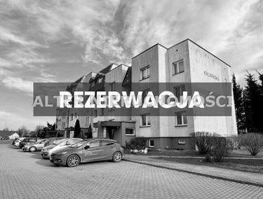 Zdjęcie 15604469