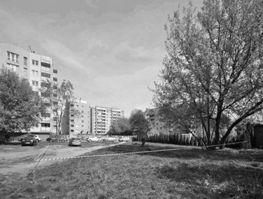 Zdjęcie 15604548