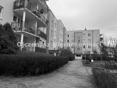 Zdjęcie 15604646