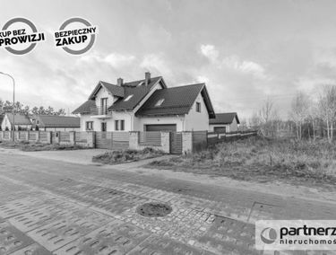 Zdjęcie 15604650