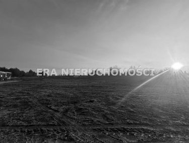 Zdjęcie 15604821