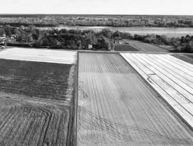 Zdjęcie 15605241
