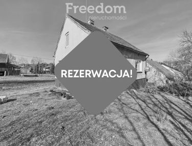 Zdjęcie 15606005