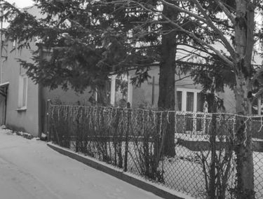 Zdjęcie 15606114