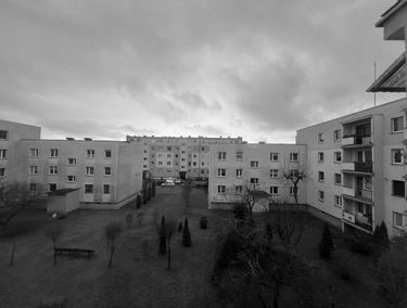Zdjęcie 15606580