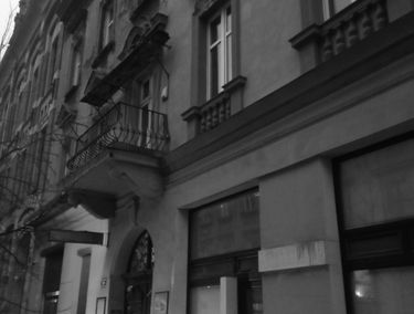 Zdjęcie 15606581