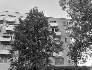 Zdjęcie 15606918