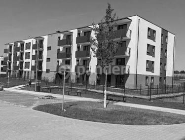 Zdjęcie 15607090