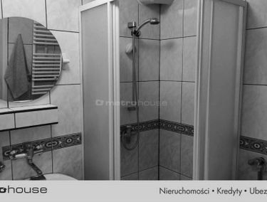Zdjęcie 15609662