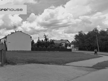 Zdjęcie 15610164