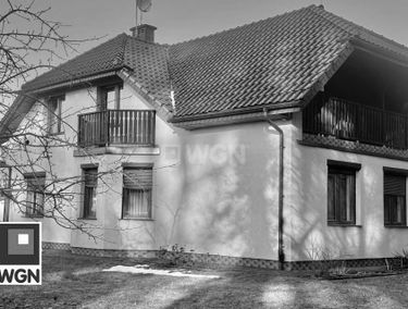 Zdjęcie 15610308