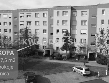 Zdjęcie 15610397