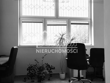 Zdjęcie 15611223