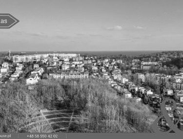 Zdjęcie 15611395