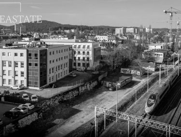 Zdjęcie 15611528