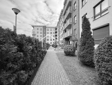 Zdjęcie 15611916