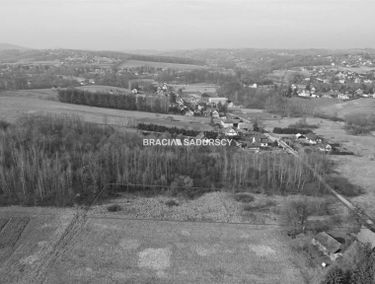 Zdjęcie 15612285