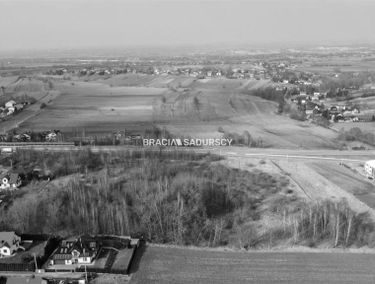 Zdjęcie 15612299