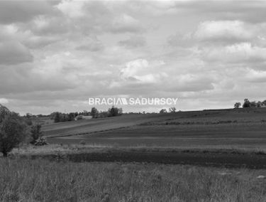 Zdjęcie 15612345