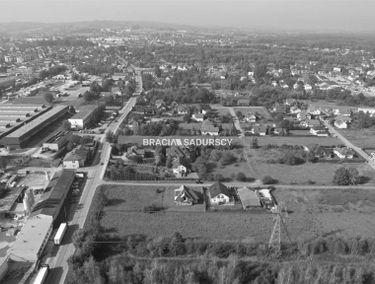 Zdjęcie 15612484