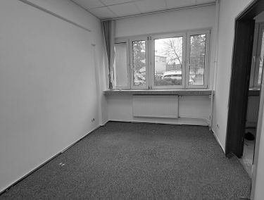 Zdjęcie 15612923