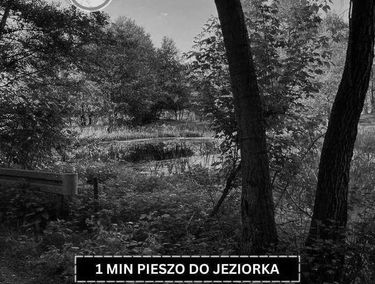 Zdjęcie 15613023