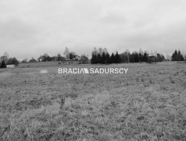 Zdjęcie 15613735