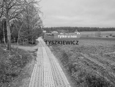 Zdjęcie 15613816