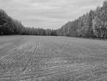 Zdjęcie 15614610