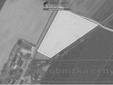 Zdjęcie 15614798