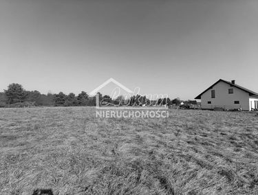 Zdjęcie 15614974