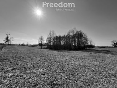 Zdjęcie 15616849