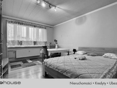 Zdjęcie 15617005