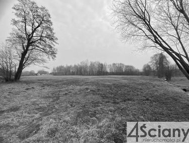 Zdjęcie 15618004