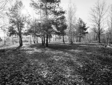 Zdjęcie 15618066