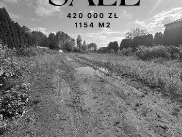 Zdjęcie 15618351
