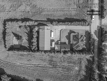Zdjęcie 15619016