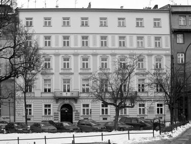 Zdjęcie 15619029