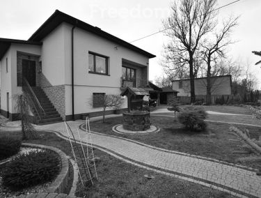 Zdjęcie 15619034