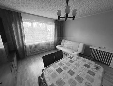 Zdjęcie 15619050