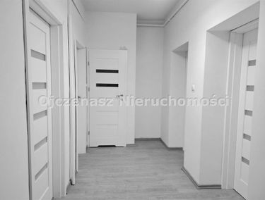 Zdjęcie 15619112