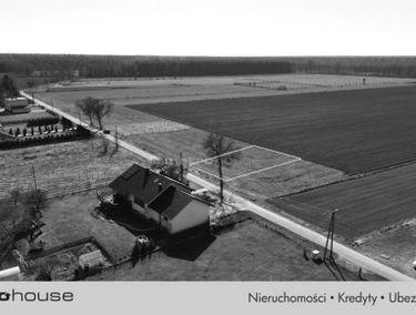 Zdjęcie 15619320
