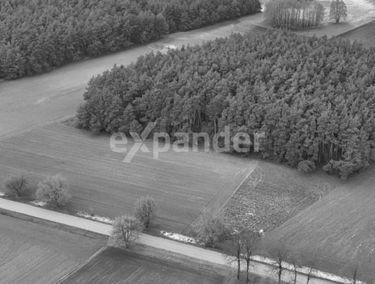 Zdjęcie 15619402