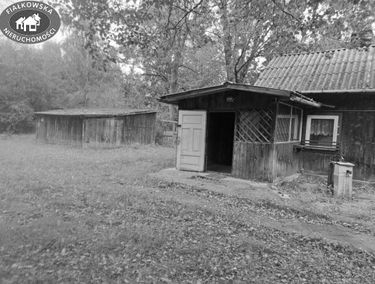 Zdjęcie 15619604