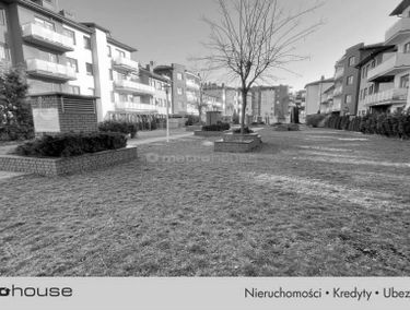 Zdjęcie 15619628