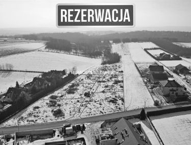 Zdjęcie 15620128